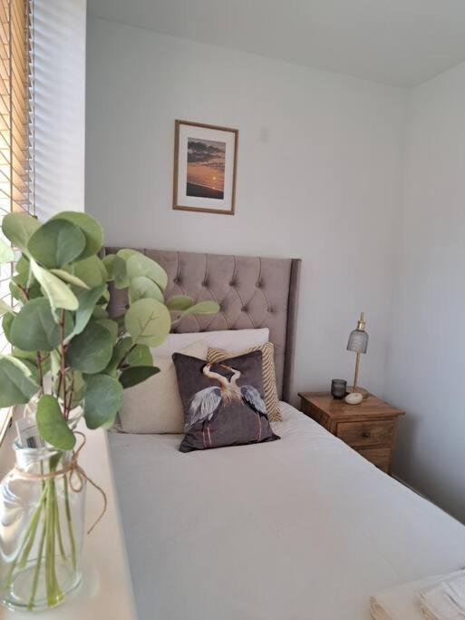 Beachwood House, Serviced Accommodation سكونثورب المظهر الخارجي الصورة